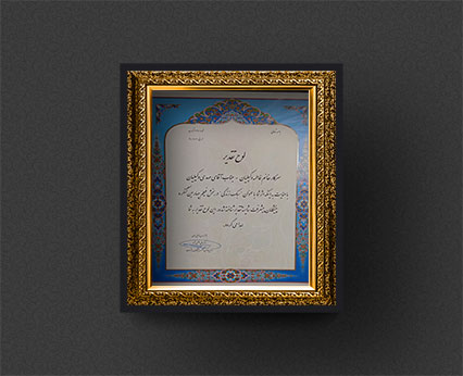 لوح تقدیر مهندس فاطمه وکیلیان کد انتخاباتی 623 از کنگره پیشگامان پیشرفت